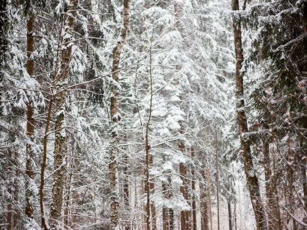 Wish List – Dec.&nbsp;2025