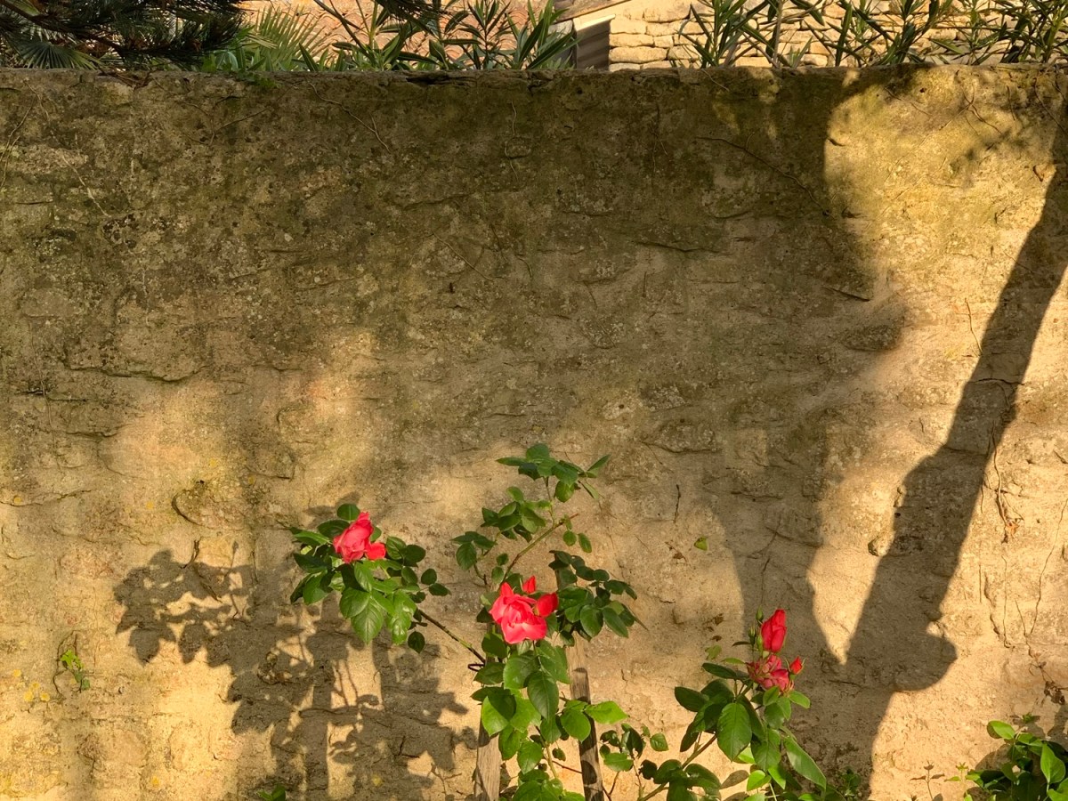 20 Months a Mom – May&nbsp;2025